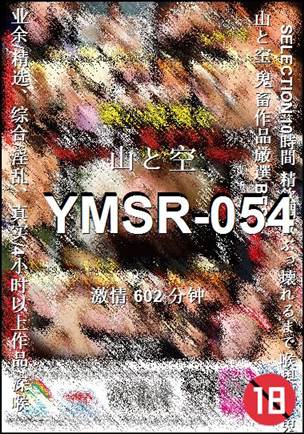 ����YMSR-054����