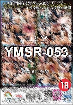 ����YMSR-053����
