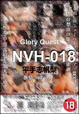 ����NVH-018����