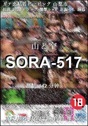 番号SORA-517种子