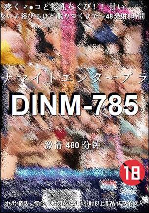 番号DINM-785种子