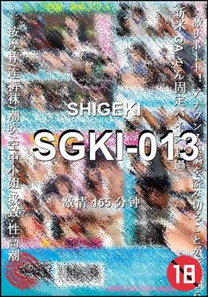SGKI-013