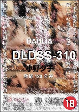 DLDSS-310