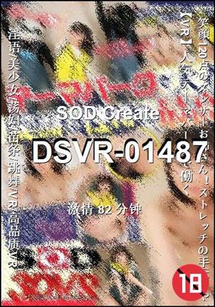 DSVR-01487