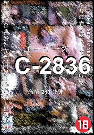 番号C-2836种子