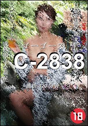 C-2838