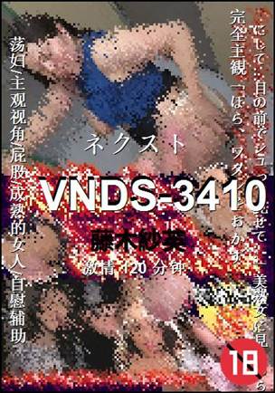VNDS-3410