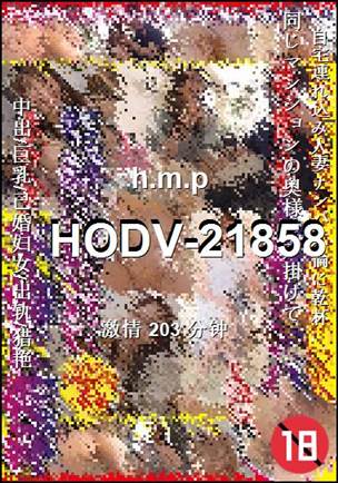 番号HODV-21858种子