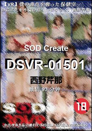 DSVR-01501