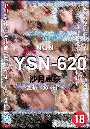 YSN-620