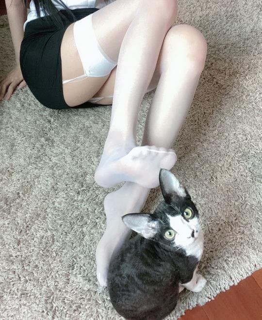 ����հ�����